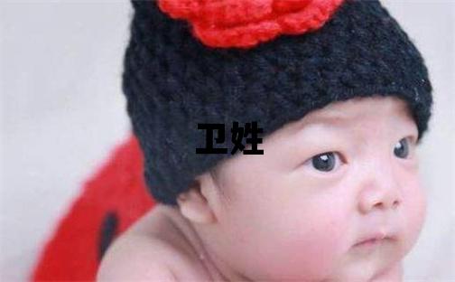 衛姓朗朗上口的女孩名字,取什么名字好