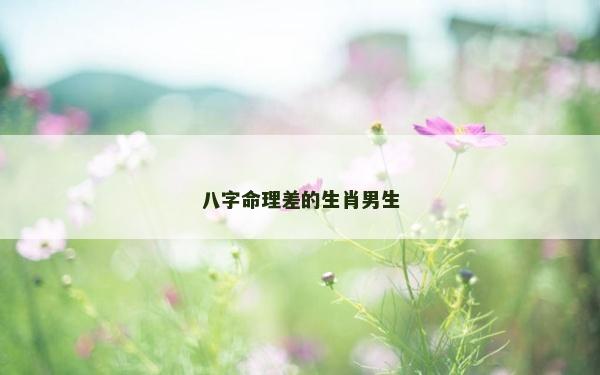 八字命理差的生肖男生 八字命理差的生肖男生