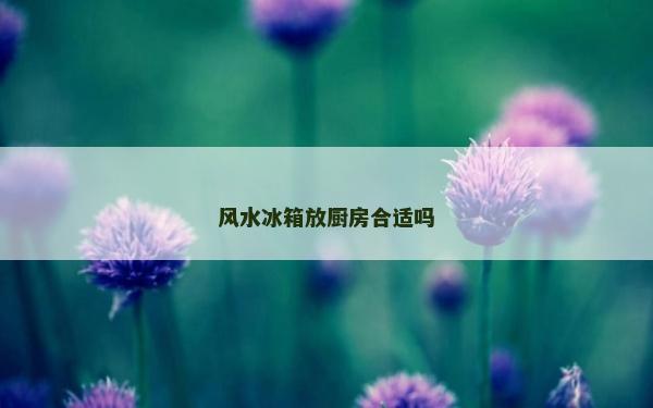 風水冰箱放廚房合適嗎