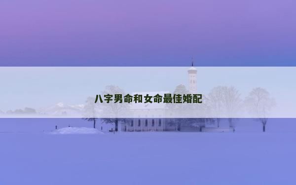 八字男命和女命最佳婚配 八字男命和女命最佳婚配