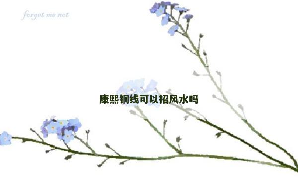 康熙銅線可以招風(fēng)水嗎