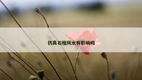 仿真石榴風水有影響嗎 仿真石榴風水有影響嗎