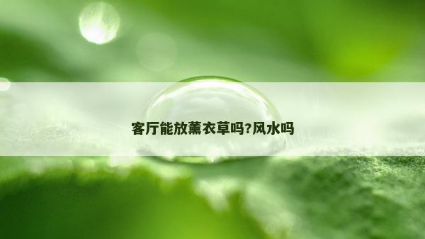 客廳能放薰衣草嗎?風水嗎 客廳能放薰衣草嗎?風水嗎