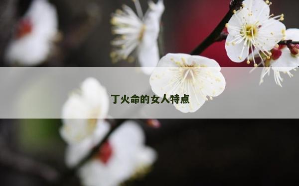 丁火命的女人特點
