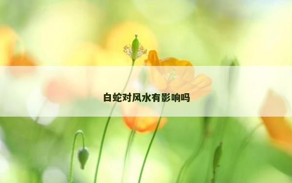白蛇對風水有影響嗎