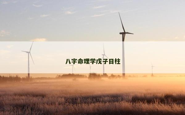 八字命理學戊子日柱