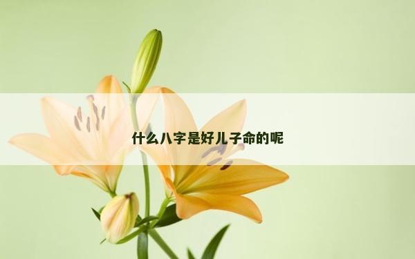 什么八字是好兒子命的呢