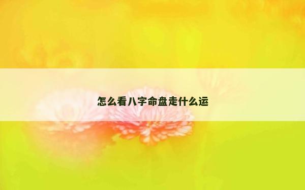 怎么看八字命盤走什么運
