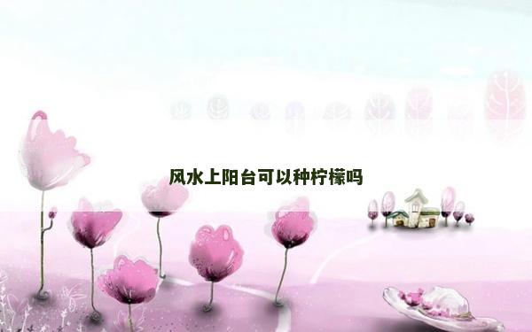 風水上陽臺可以種檸檬嗎