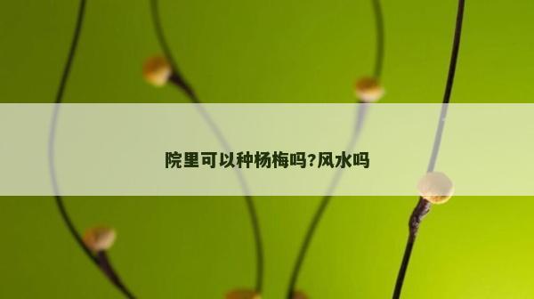 院里可以種楊梅嗎?風(fēng)水嗎