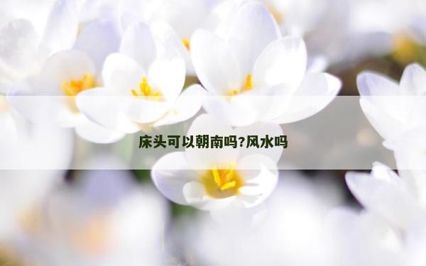 床頭可以朝南嗎?風水嗎