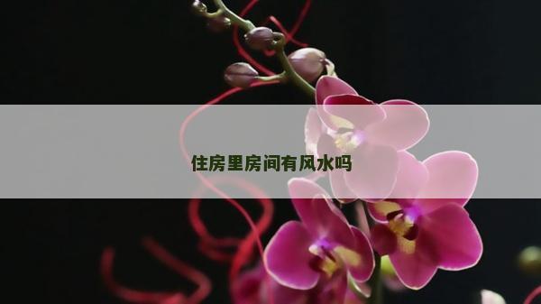 住房里房間有風水嗎