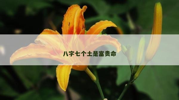 八字七個土是富貴命