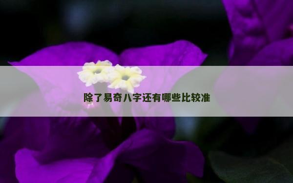 除了易奇八字還有哪些比較準(zhǔn)
