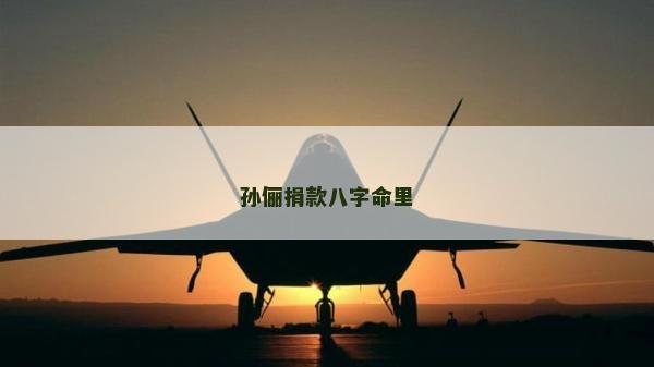孫儷捐款八字命里