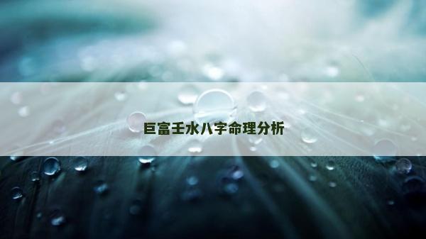 巨富壬水八字命理分析