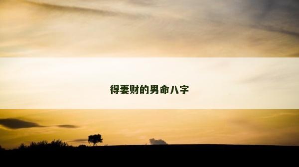 得妻財的男命八字