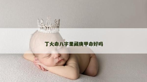 丁火命八字里藏庚甲命好嗎