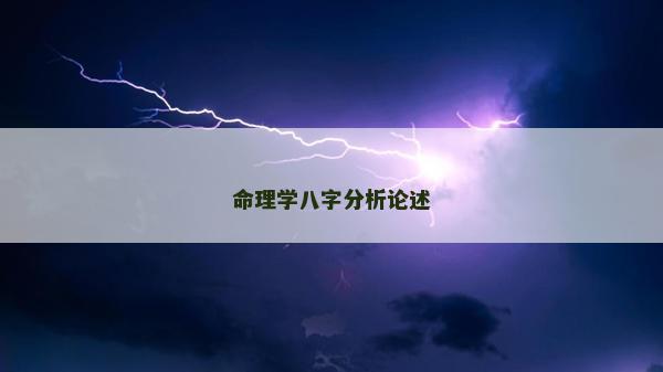 命理學八字分析論述