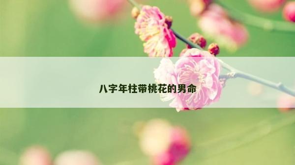八字年柱帶桃花的男命