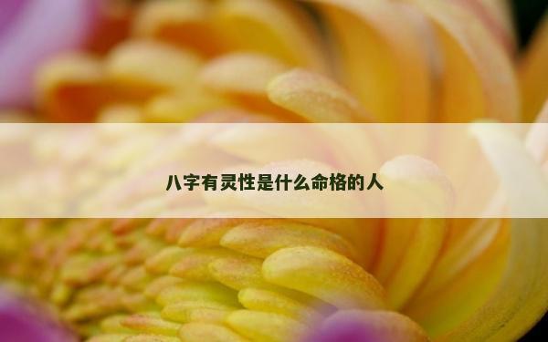 八字有靈性是什么命格的人