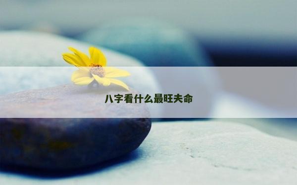 八字看什么最旺夫命