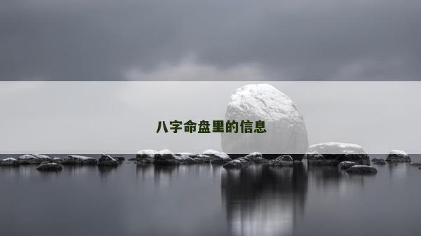八字命盤里的信息