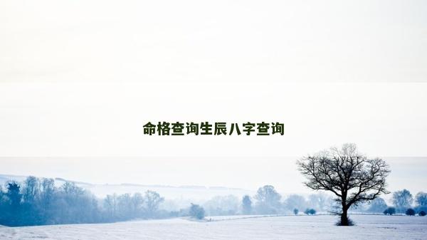 命格查詢生辰八字查詢