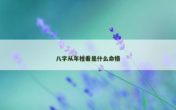 八字從年柱看是什么命格