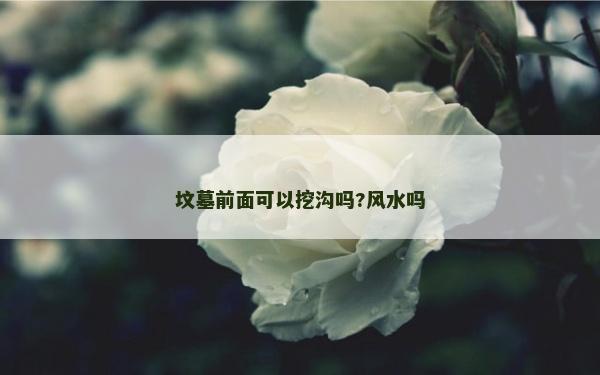 墳墓前面可以挖溝嗎?風水嗎