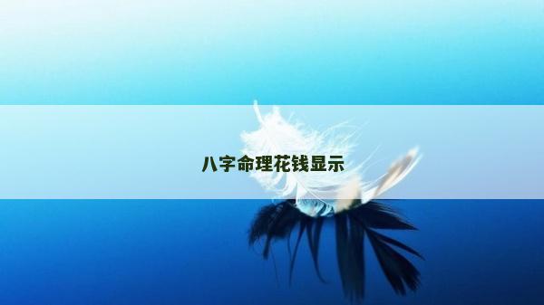 八字命理花錢顯示
