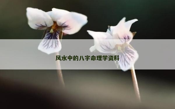 風(fēng)水中的八字命理學(xué)資料