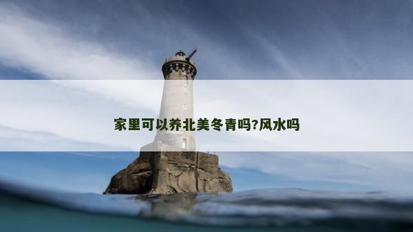 家里可以養(yǎng)北美冬青嗎?風(fēng)水嗎