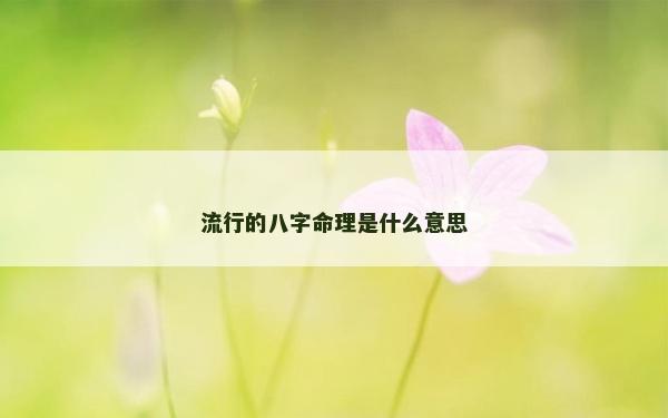 流行的八字命理是什么意思