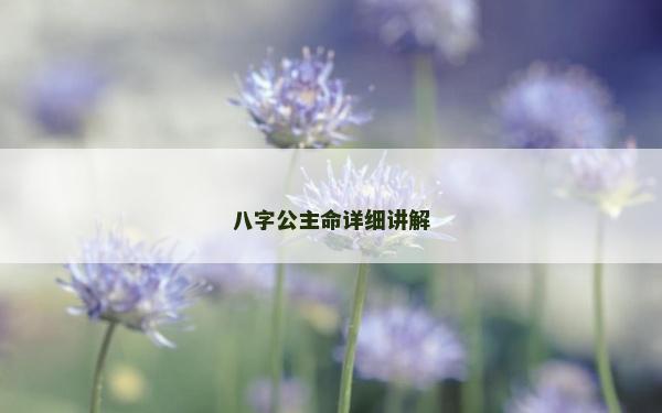 八字公主命詳細講解
