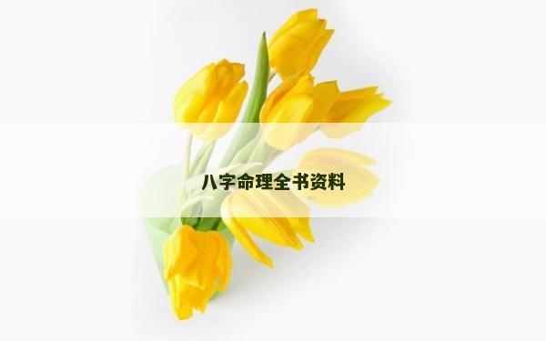 八字命理全書資料