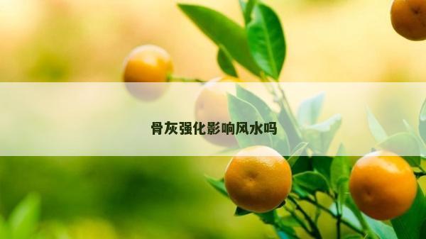 骨灰強化影響風水嗎