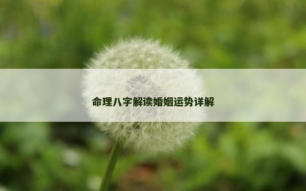 命理八字解讀婚姻運勢詳解