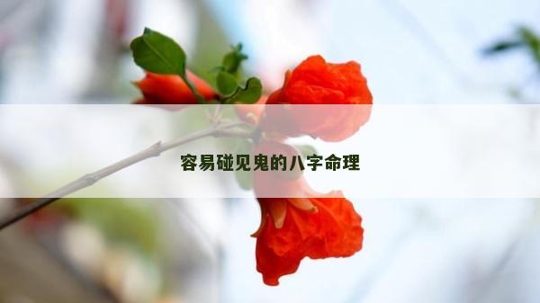 容易碰見鬼的八字命理