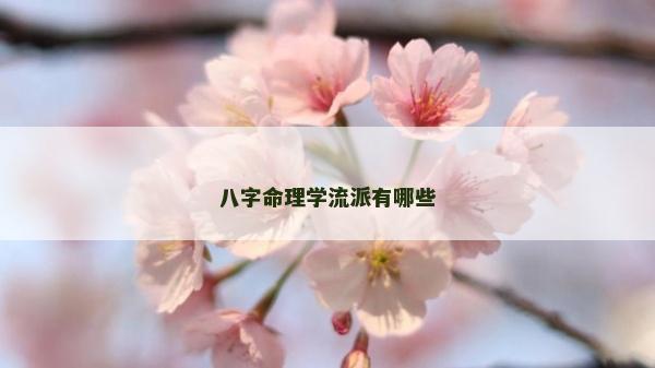 八字命理學(xué)流派有哪些