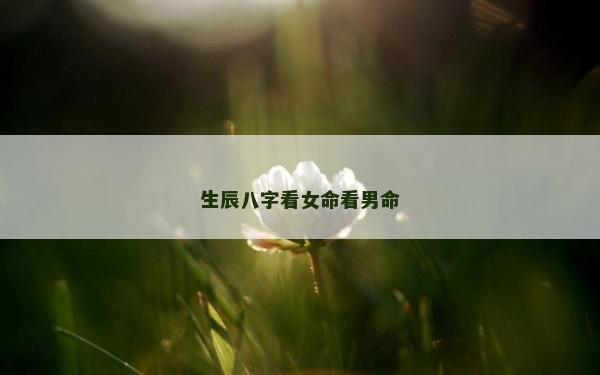 生辰八字看女命看男命 生辰八字看女命看男命