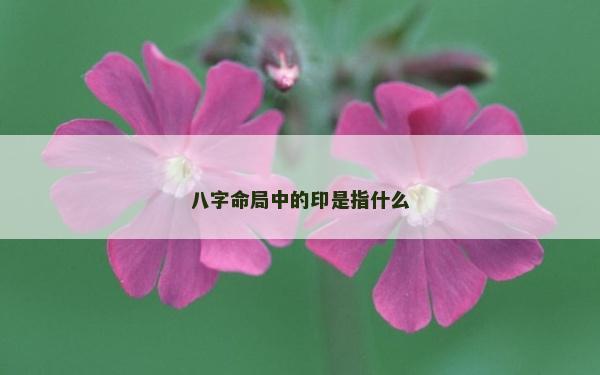 八字命局中的印是指什么