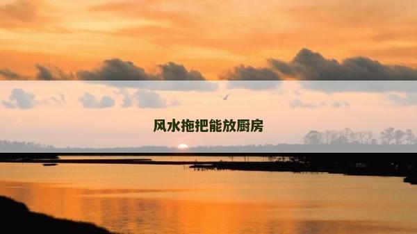風水拖把能放廚房