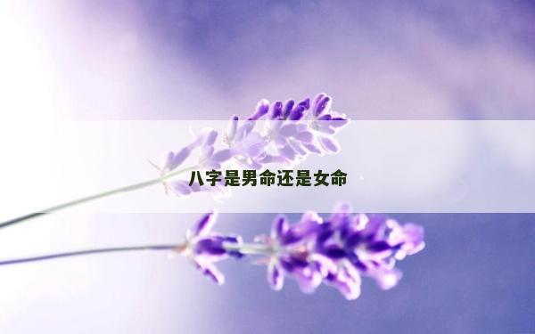 八字是男命還是女命
