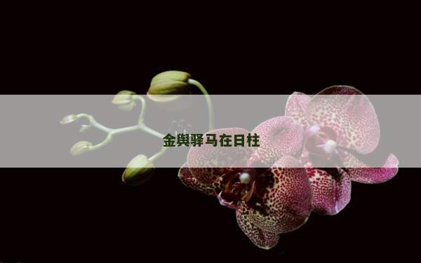 金輿驛馬在日柱