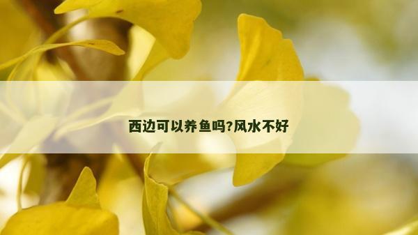 西邊可以養(yǎng)魚嗎?風(fēng)水不好
