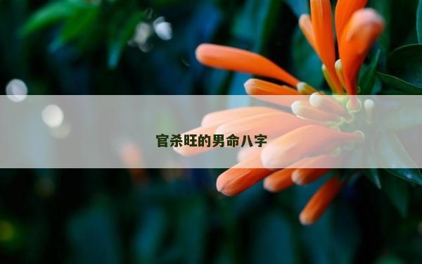官殺旺的男命八字