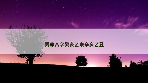 男命八字癸亥乙未辛亥乙丑
