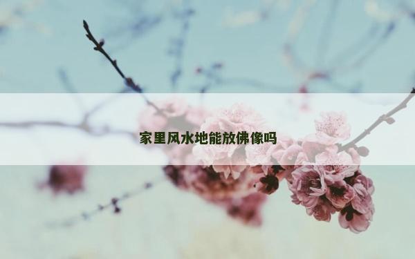 家里風(fēng)水地能放佛像嗎
