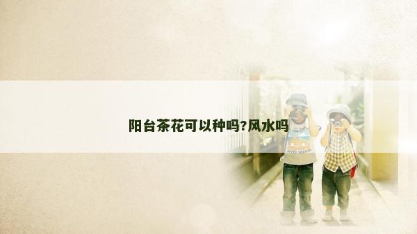 陽臺茶花可以種嗎?風水嗎